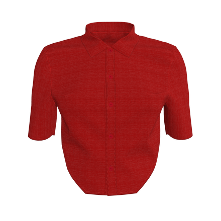 Elara Cropped Top